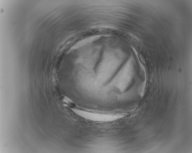 X0000064061014200602250005