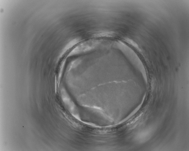 X0000064061219200602250002