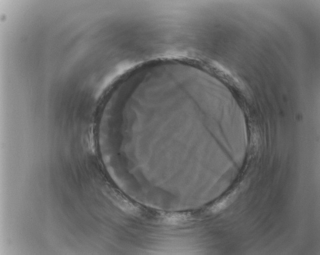 X0000064061262200602250002