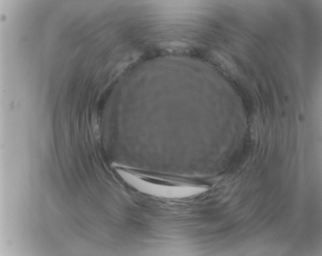 X0000064061298200602250000