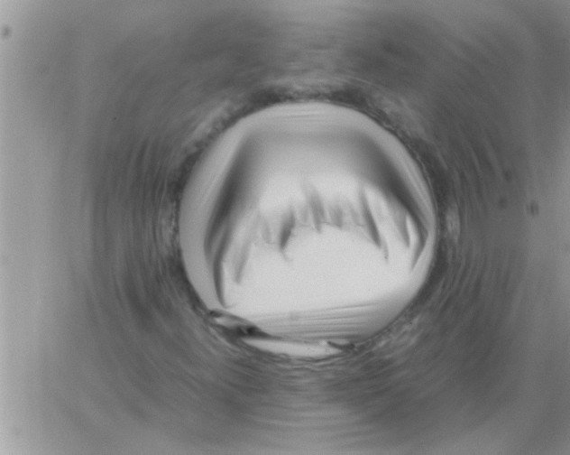 X0000064061300200602250000