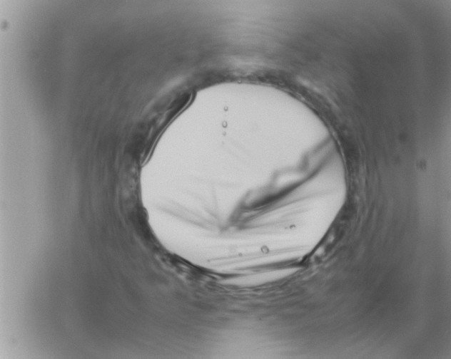 X0000064061349200602250000