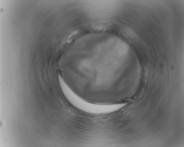 X0000064061394200602242359