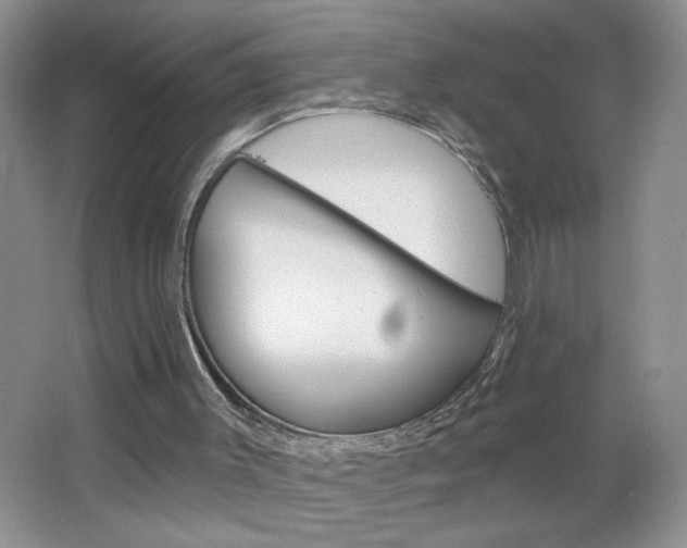 X0000064720003200602100944