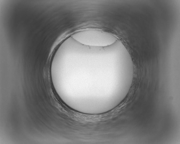 X0000064720004200602100944