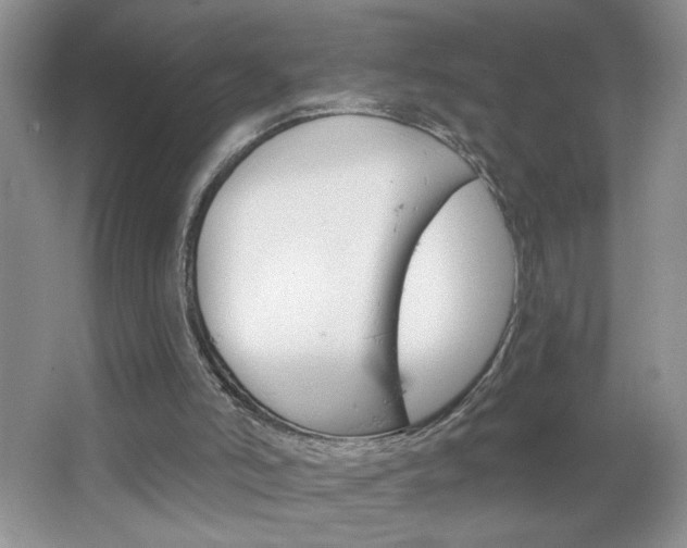 X0000064720006200602100944