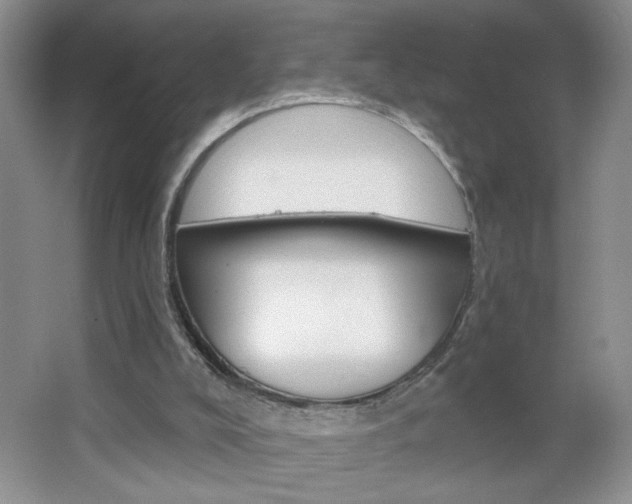X0000064720008200602100944