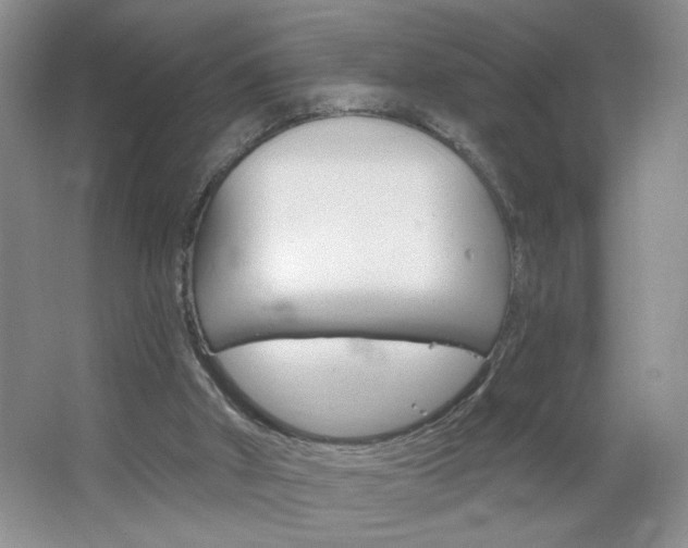 X0000064720010200602100944