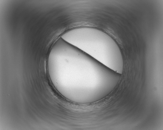 X0000064720014200602100943