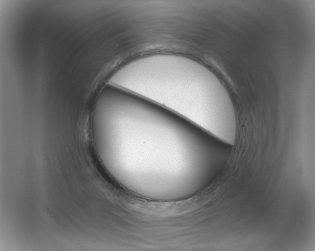X0000064720023200602100943