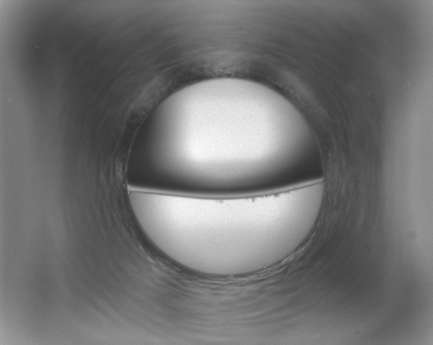 X0000064720025200602100943