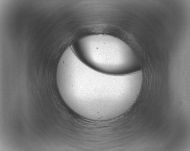 X0000064720031200602100943