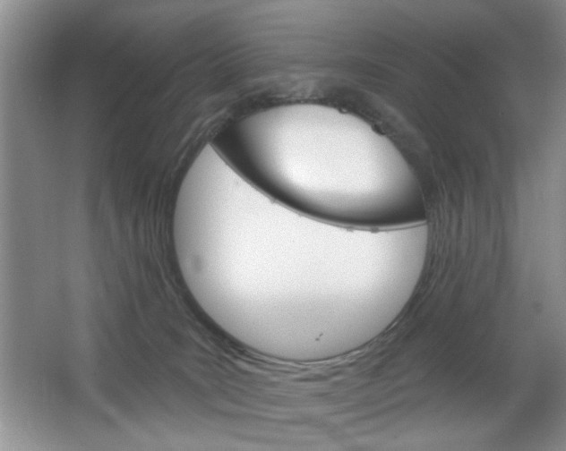 X0000064720035200602100943