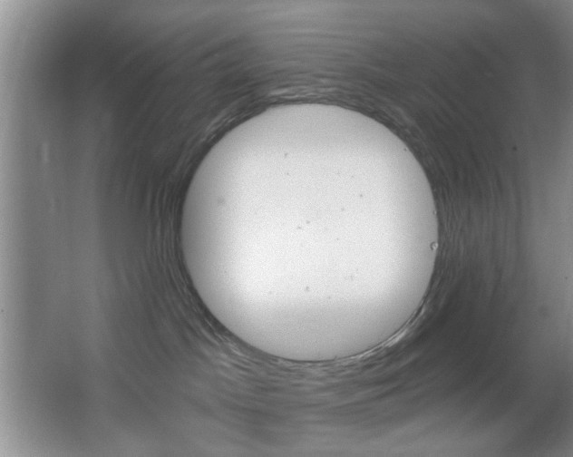 X0000064720045200602100943