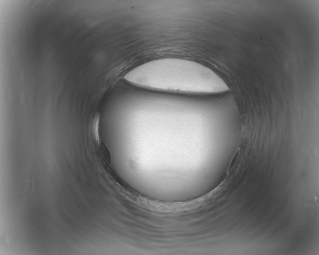 X0000064720047200602100943