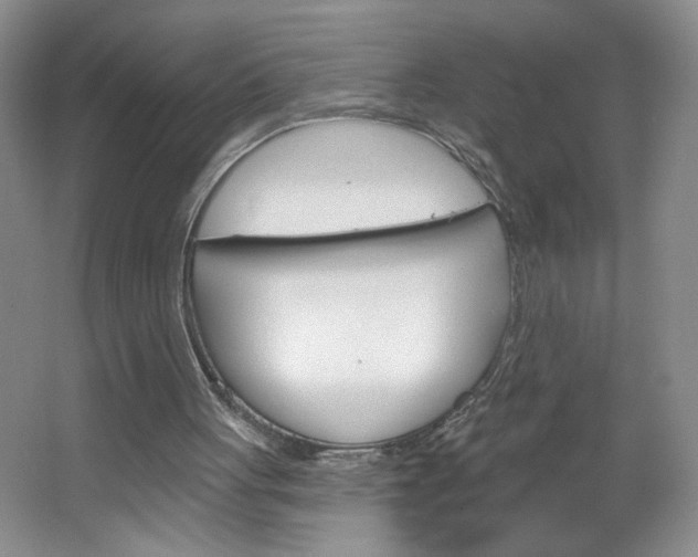 X0000064720051200602100942