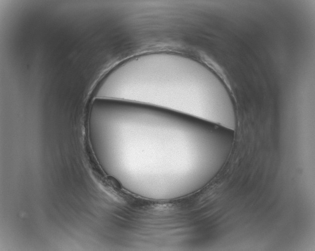 X0000064720059200602100942