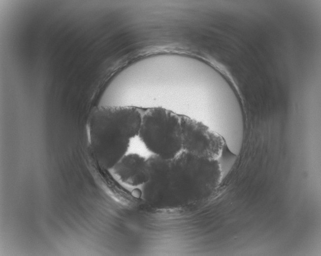 X0000064720061200602100942