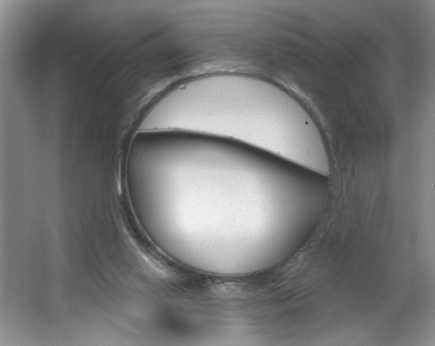 X0000064720062200602100942