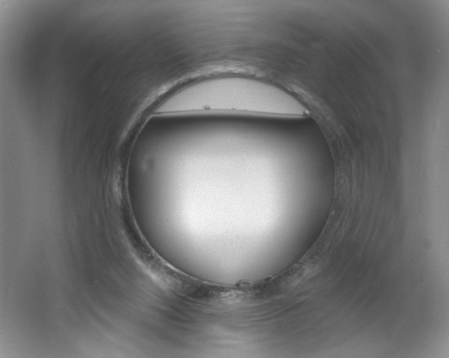 X0000064720064200602100942