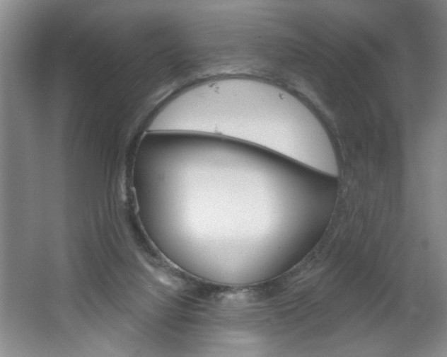 X0000064720068200602100942