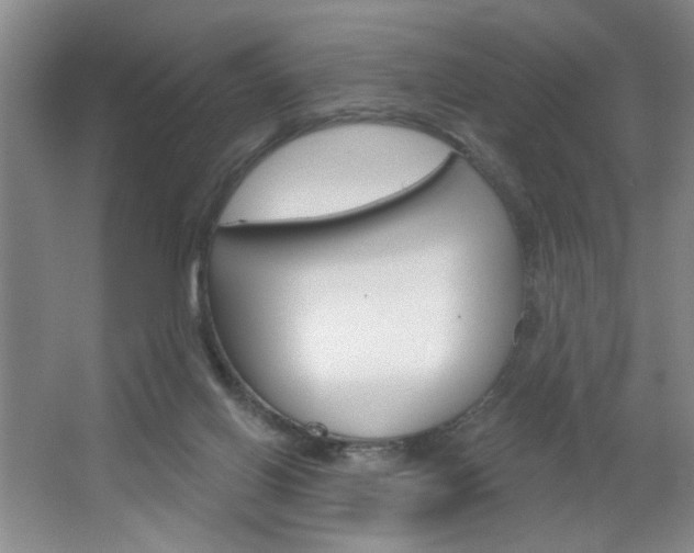 X0000064720070200602100942