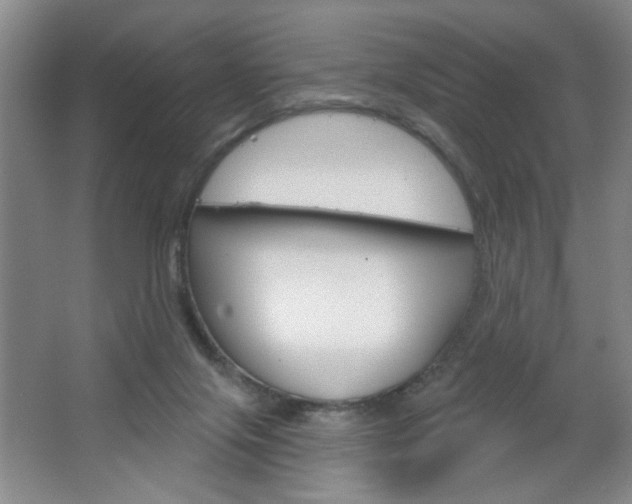X0000064720071200602100942