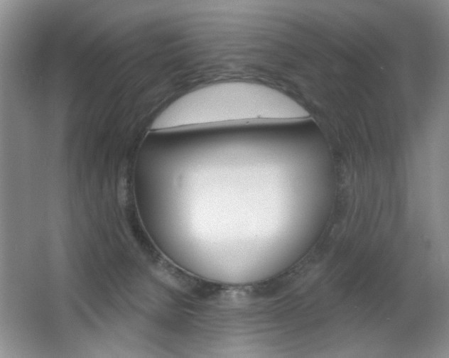 X0000064720080200602100943