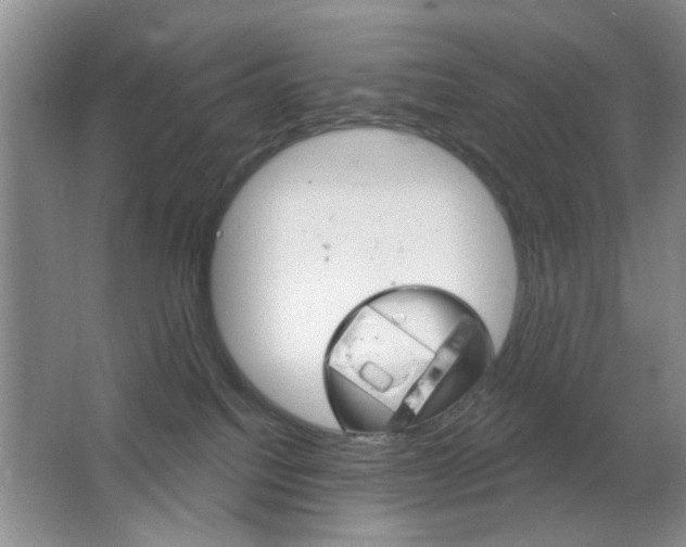X0000064720088200602100943