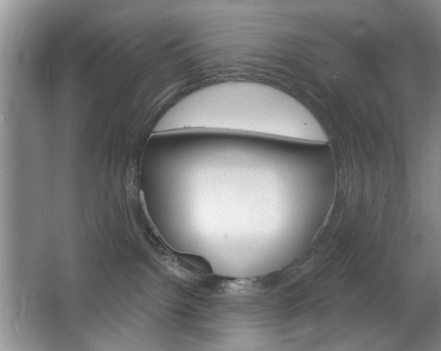 X0000064720092200602100943