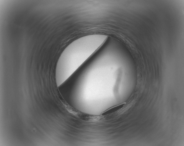 X0000064720096200602100943