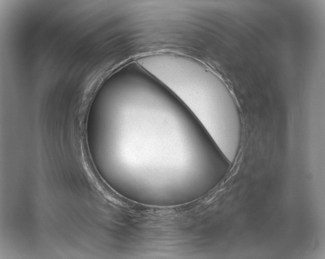 X0000064720097200602100942