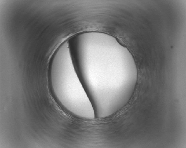 X0000064720098200602100942