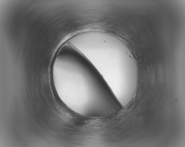 X0000064720100200602100942