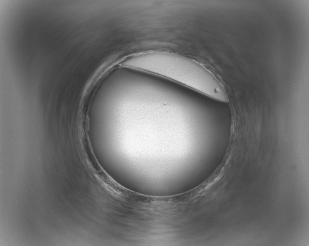 X0000064720101200602100942