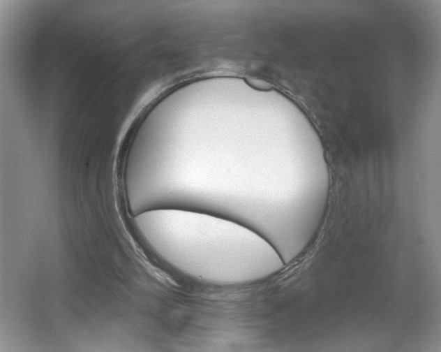 X0000064720102200602100942