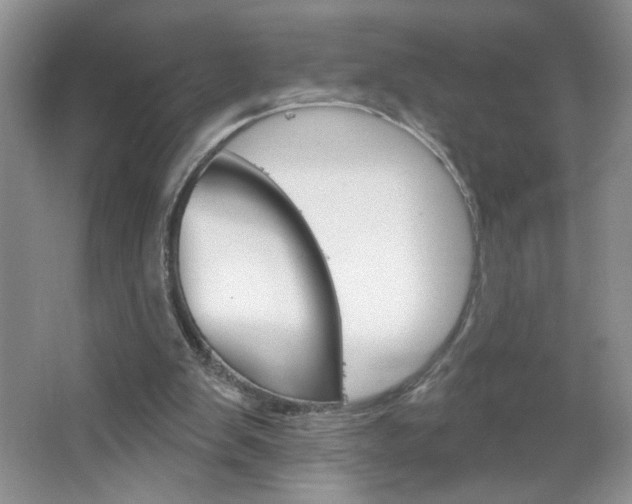 X0000064720103200602100942