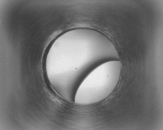 X0000064720104200602100942