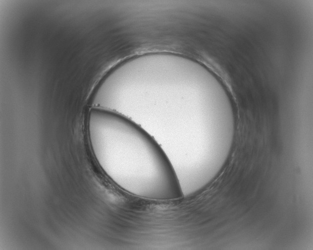 X0000064720107200602100942