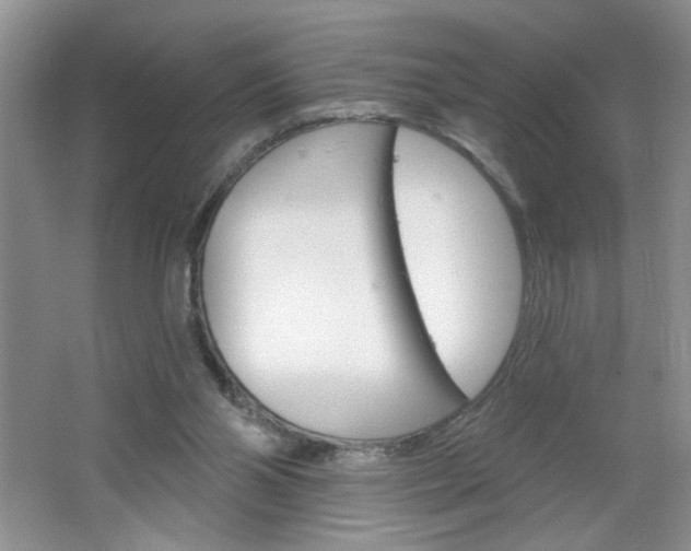 X0000064720110200602100942