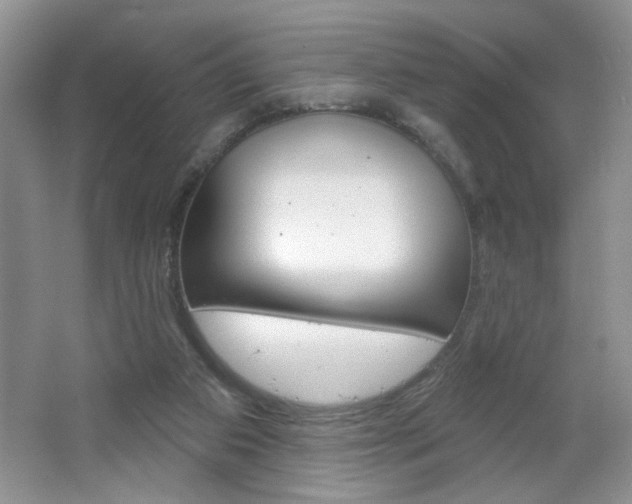 X0000064720113200602100942