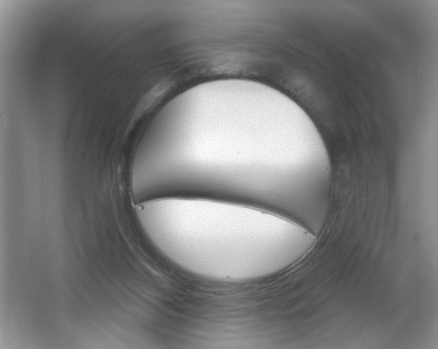 X0000064720116200602100942