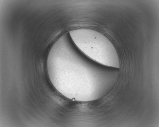 X0000064720120200602100942