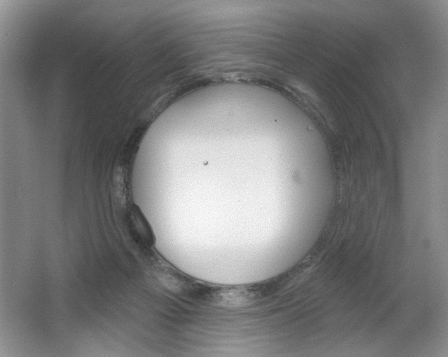 X0000064720121200602100942