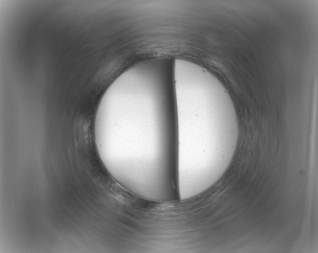 X0000064720123200602100942