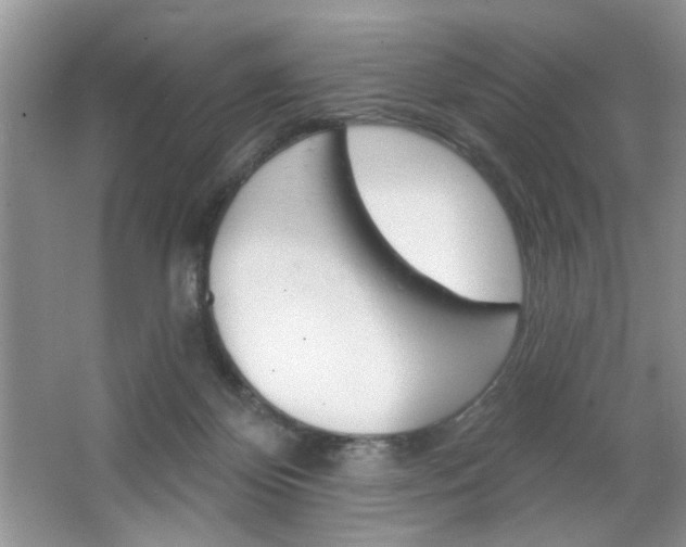 X0000064720124200602100942
