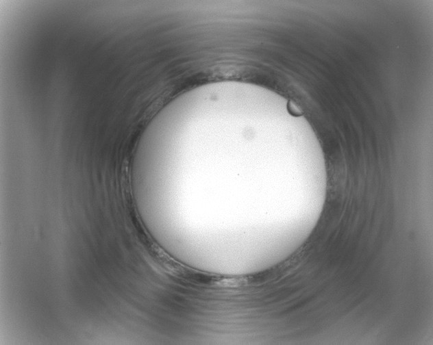 X0000064720126200602100942
