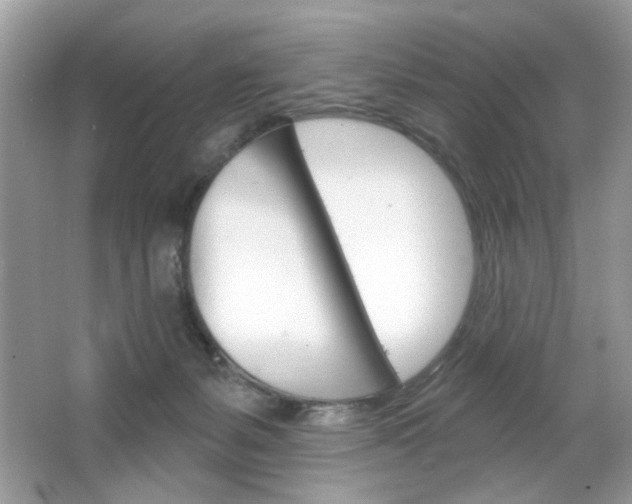 X0000064720127200602100942