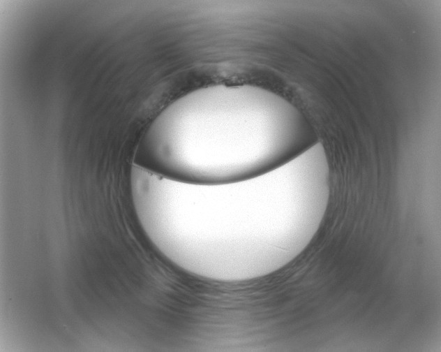 X0000064720129200602100941