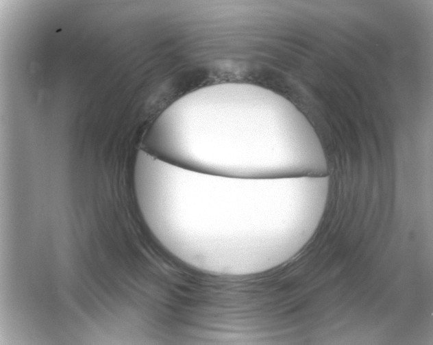 X0000064720134200602100941